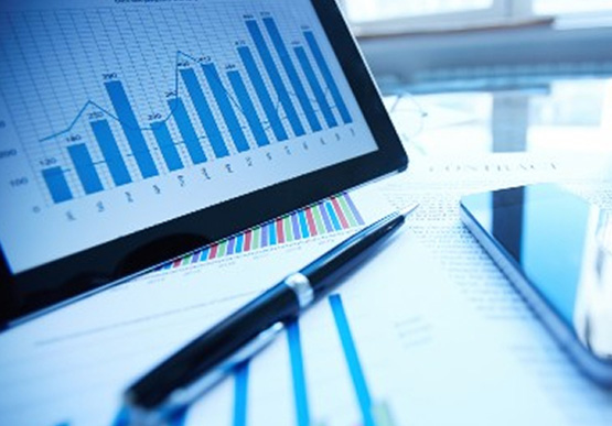 Financial Statements of Subsidiary Companies